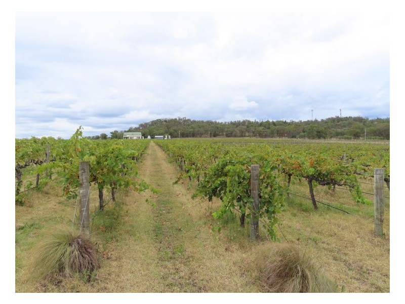 27112 New England Highway, Ballandean QLD 4382