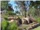 3 Mariposa Place, Stanthorpe QLD 4380