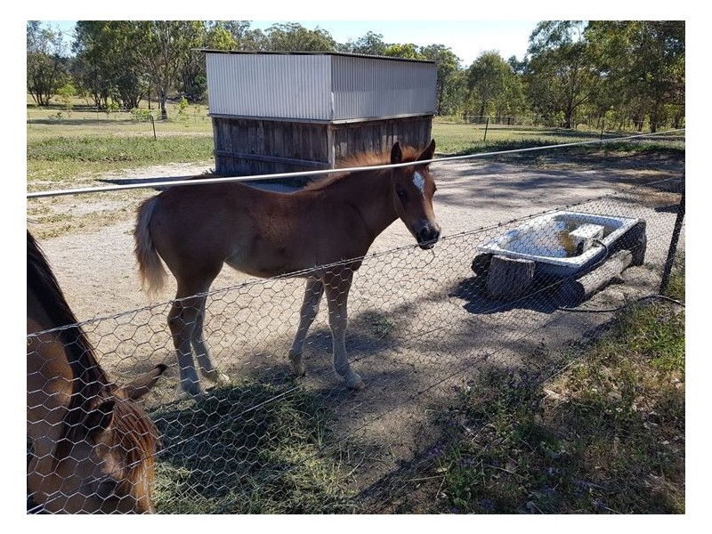Lot 34 Cullendore Road, Cullendore NSW 2372