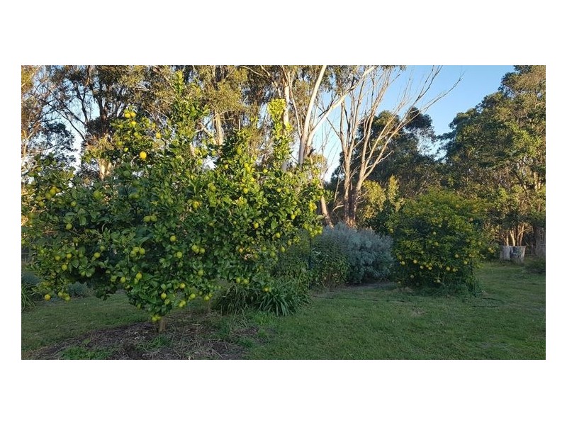 Lot 34 Cullendore Road, Cullendore NSW 2372