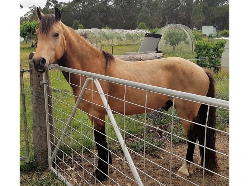 Lot 34 Cullendore Road, Cullendore NSW 2372