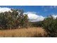Lot 34 Cullendore Road, Cullendore NSW 2372