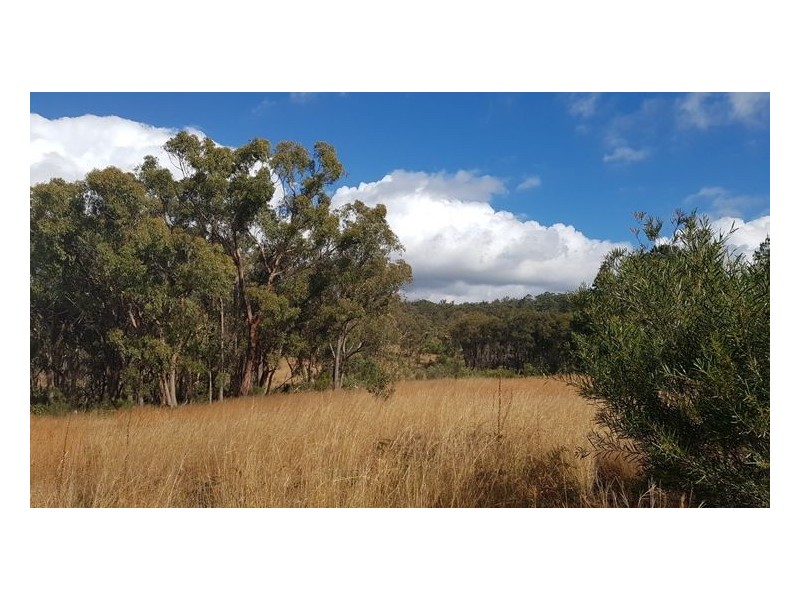 Lot 34 Cullendore Road, Cullendore NSW 2372