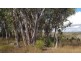 Lot 34 Cullendore Road, Cullendore NSW 2372