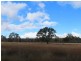 180 Dalmoak Road, Stanthorpe QLD 4380