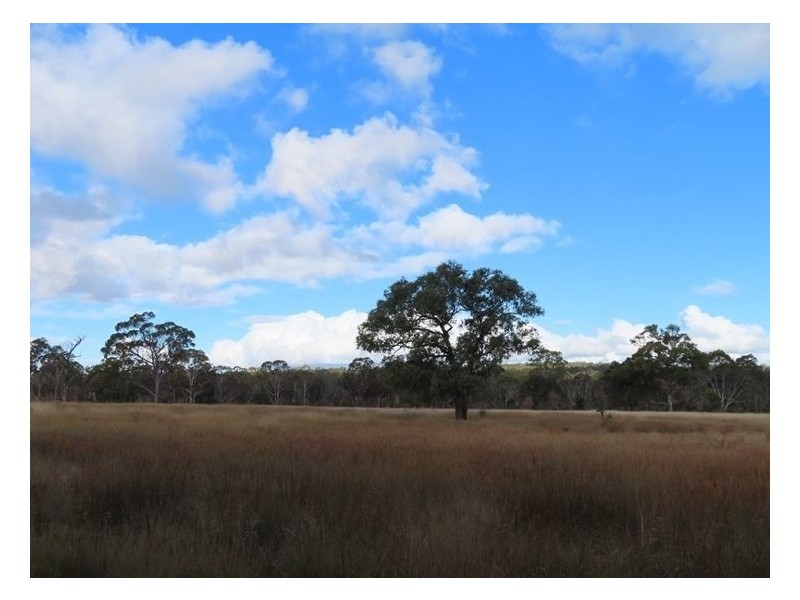 180 Dalmoak Road, Stanthorpe QLD 4380