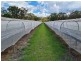 189 Limberlost Road, Fletcher QLD 4381