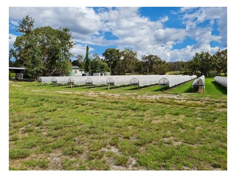 189 Limberlost Road, Fletcher QLD 4381