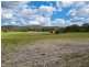 189 Limberlost Road, Fletcher QLD 4381