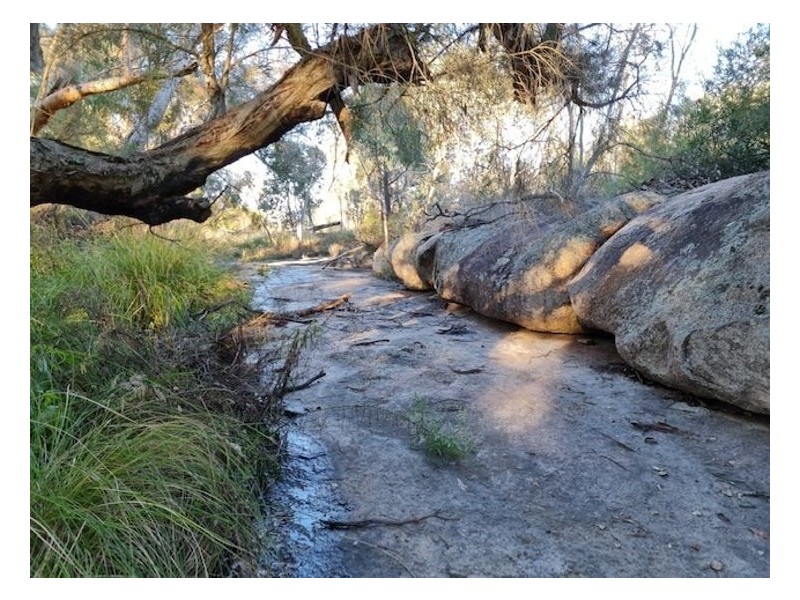 189 Limberlost Road, Fletcher QLD 4381