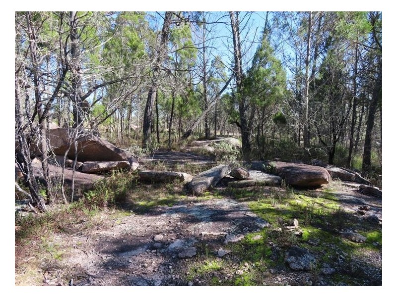 101 Townsend Road, Glen Aplin QLD 4381