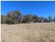 154 Nundubbermere Road, Stanthorpe QLD 4380