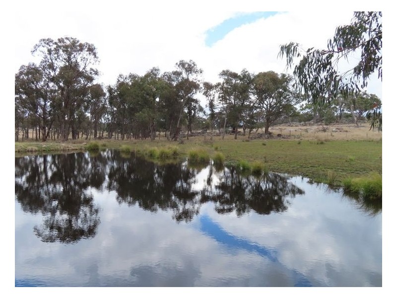 89 Caslick Lane, Broadwater QLD 4380