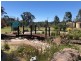 19 Nectar Lane, Severnlea QLD 4380