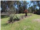 19 Nectar Lane, Severnlea QLD 4380