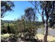 19 Nectar Lane, Severnlea QLD 4380