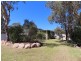 19 Nectar Lane, Severnlea QLD 4380