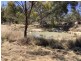 19 Nectar Lane, Severnlea QLD 4380