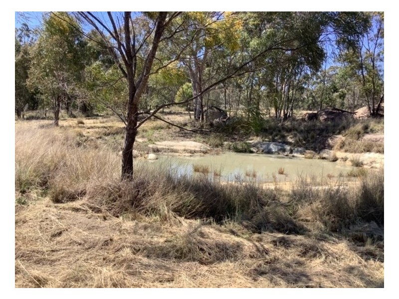 19 Nectar Lane, Severnlea QLD 4380