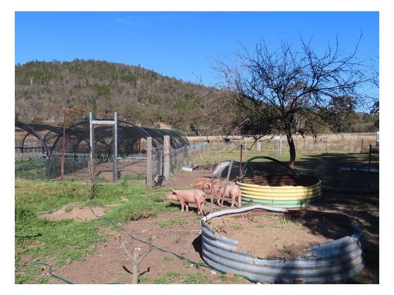 32 Cameron Road, Stanthorpe QLD 4380