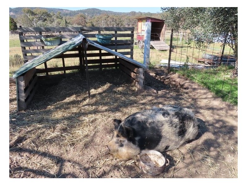 32 Cameron Road, Stanthorpe QLD 4380