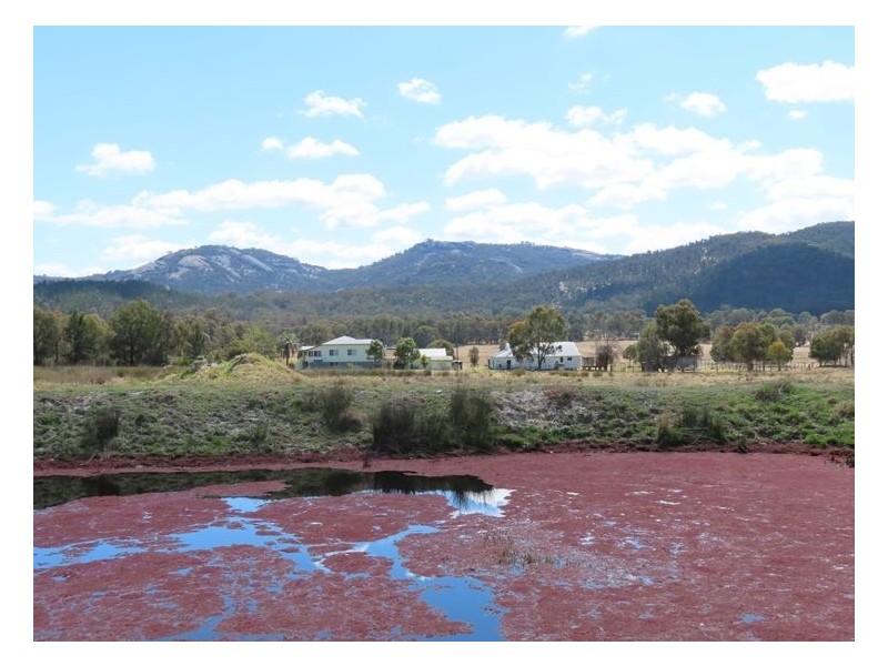 88 Paling Yard Road, Wallangarra QLD 4383