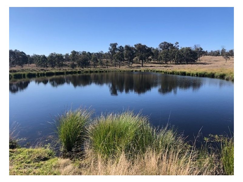 Lot 1 Pine Grove Road, Ballandean QLD 4382