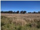 Lot 1 Pine Grove Road, Ballandean QLD 4382