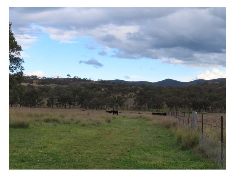 Lot 1 Pine Grove Road, Ballandean QLD 4382