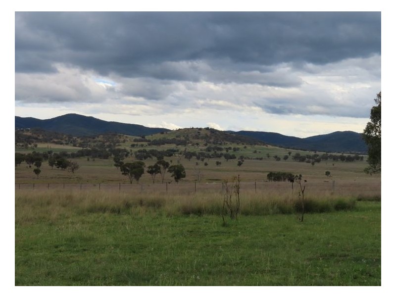 Lot 1 Pine Grove Road, Ballandean QLD 4382