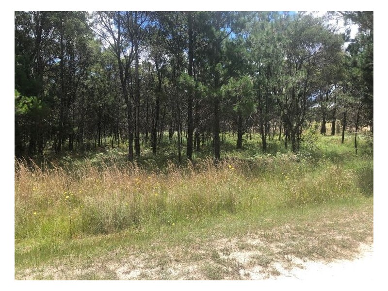 Lot 201 South Drive, Sugarloaf QLD 4380