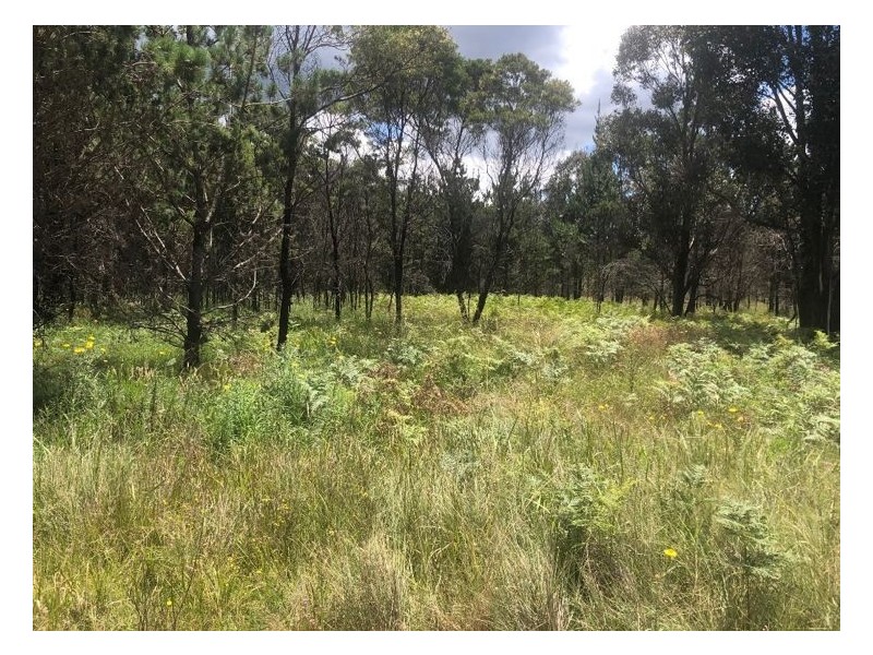Lot 201 South Drive, Sugarloaf QLD 4380