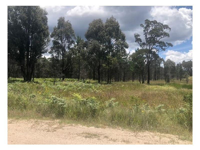 Lot 201 South Drive, Sugarloaf QLD 4380