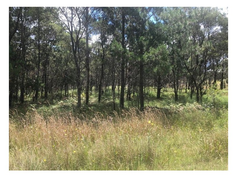 Lot 201 South Drive, Sugarloaf QLD 4380