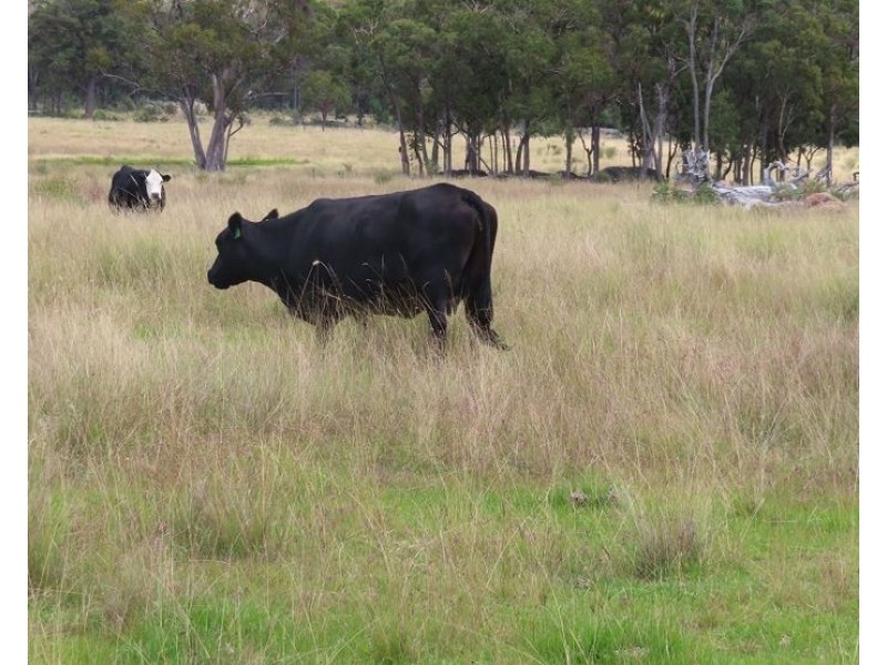 0 Nundubbermere Road, Nundubbermere QLD 4380