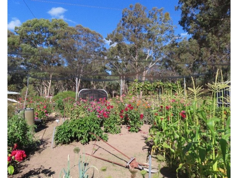 1623 Texas Road, Greenlands QLD 4380