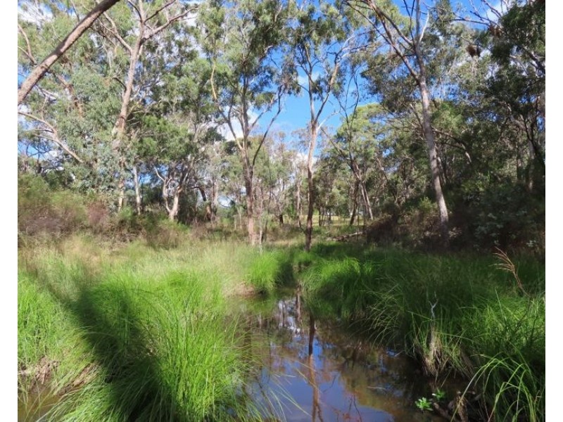 1623 Texas Road, Greenlands QLD 4380