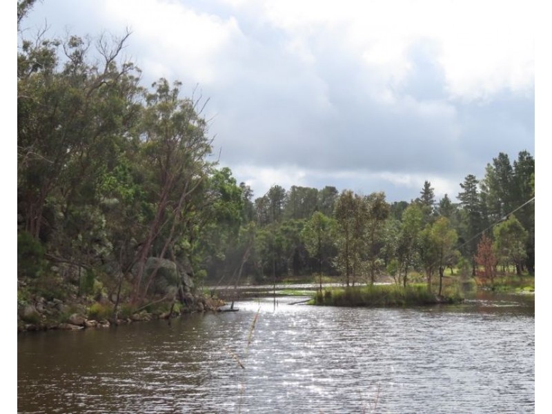 429 Amosfield Road, Stanthorpe QLD 4380