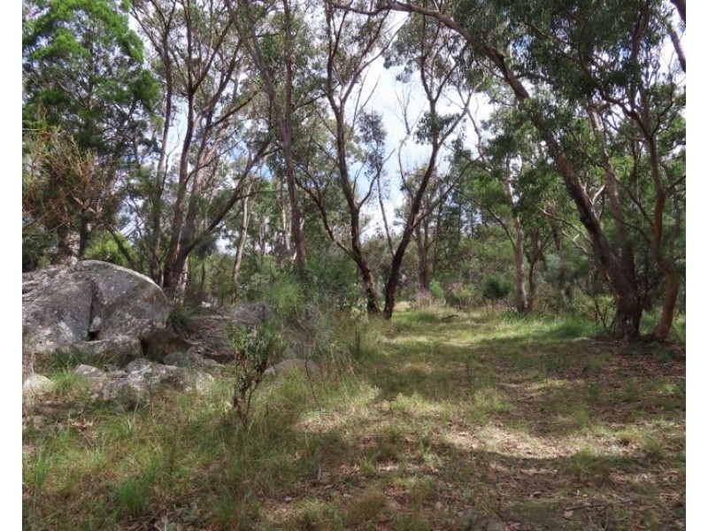 429 Amosfield Road, Stanthorpe QLD 4380