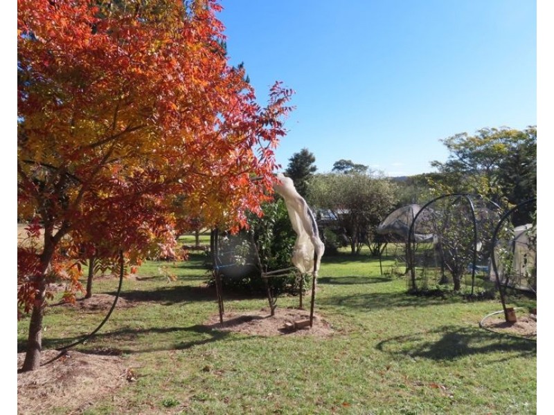 1561 Eukey Road, Eukey QLD 4380