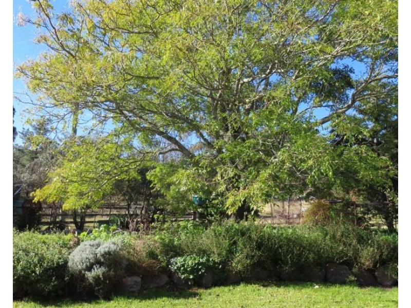 1561 Eukey Road, Eukey QLD 4380