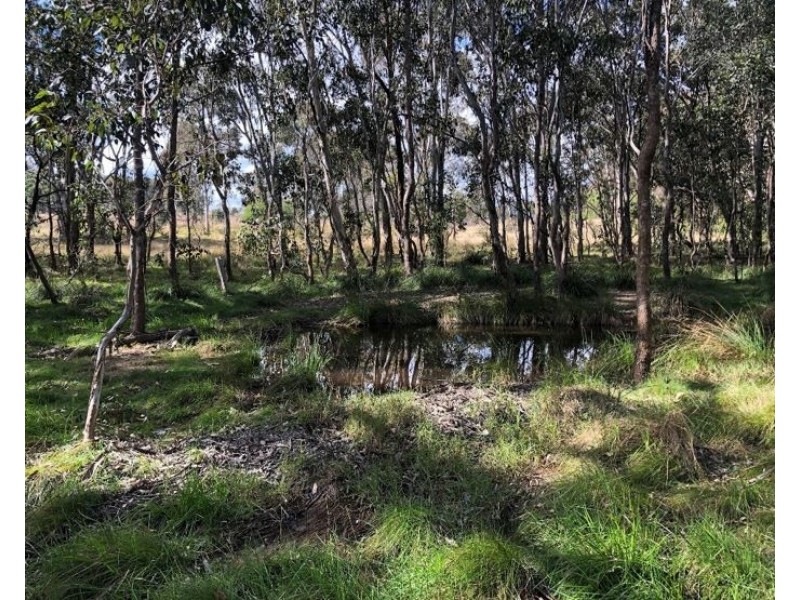 80 Pidgeon Road, Dalveen QLD 4374