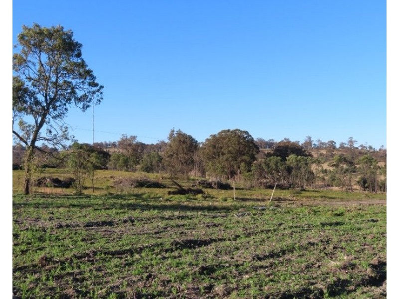 Lot 2 Border Gate Road, Cottonvale QLD 4375