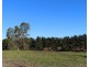 Lot 2 Border Gate Road, Cottonvale QLD 4375