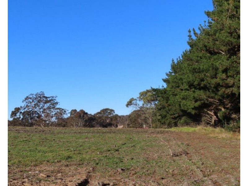 Lot 2 Border Gate Road, Cottonvale QLD 4375