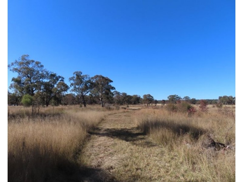 271 Thorndale Road, Broadwater QLD 4380