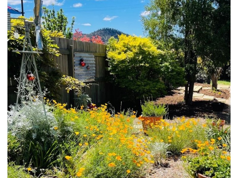 31 Bridge Street, Stanthorpe QLD 4380