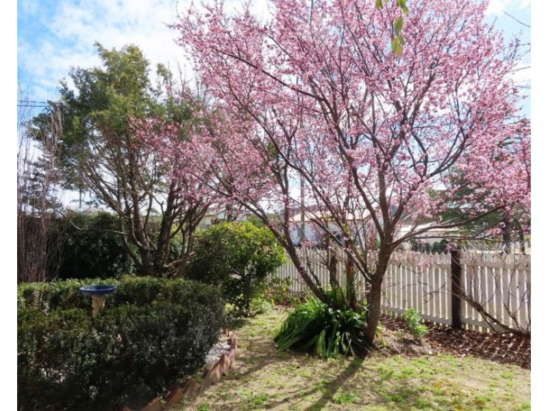 31 Bridge Street, Stanthorpe QLD 4380