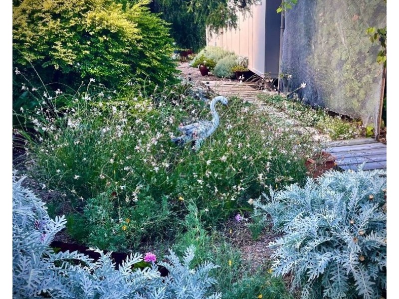 31 Bridge Street, Stanthorpe QLD 4380