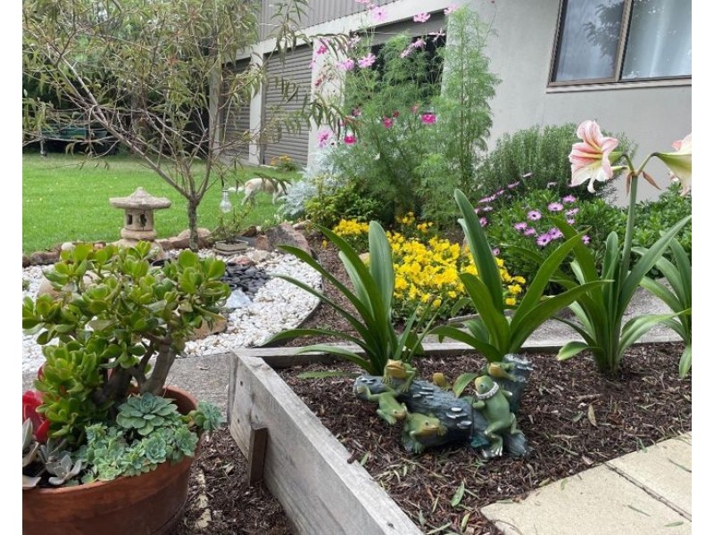 31 Bridge Street, Stanthorpe QLD 4380